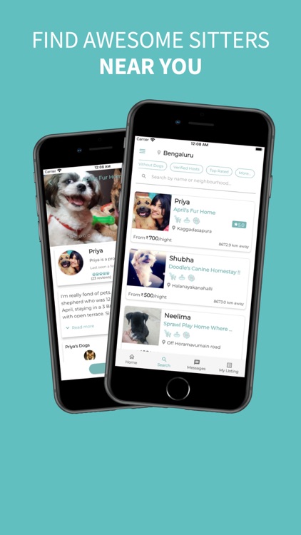 Waggle - Everything Doggo