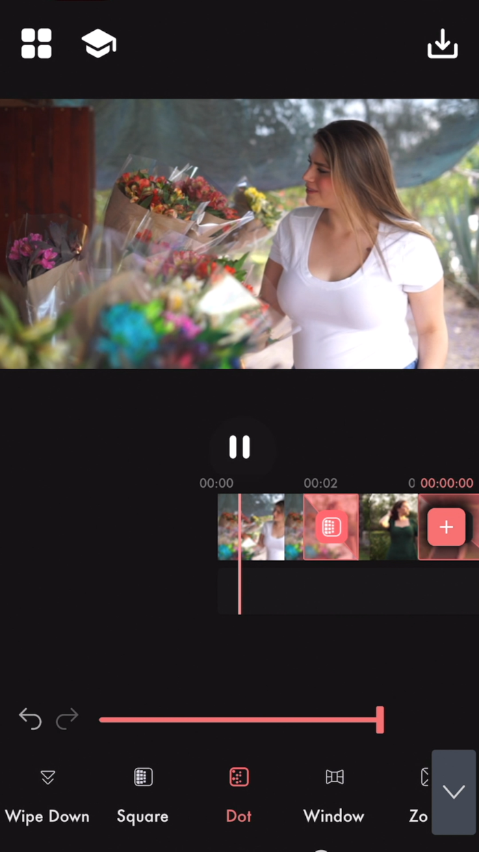 Videoloop Video Editor