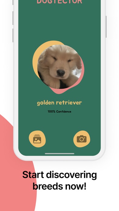 DogTector Screenshot