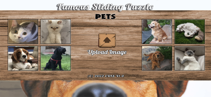Famous Sliding Puzzle Pets