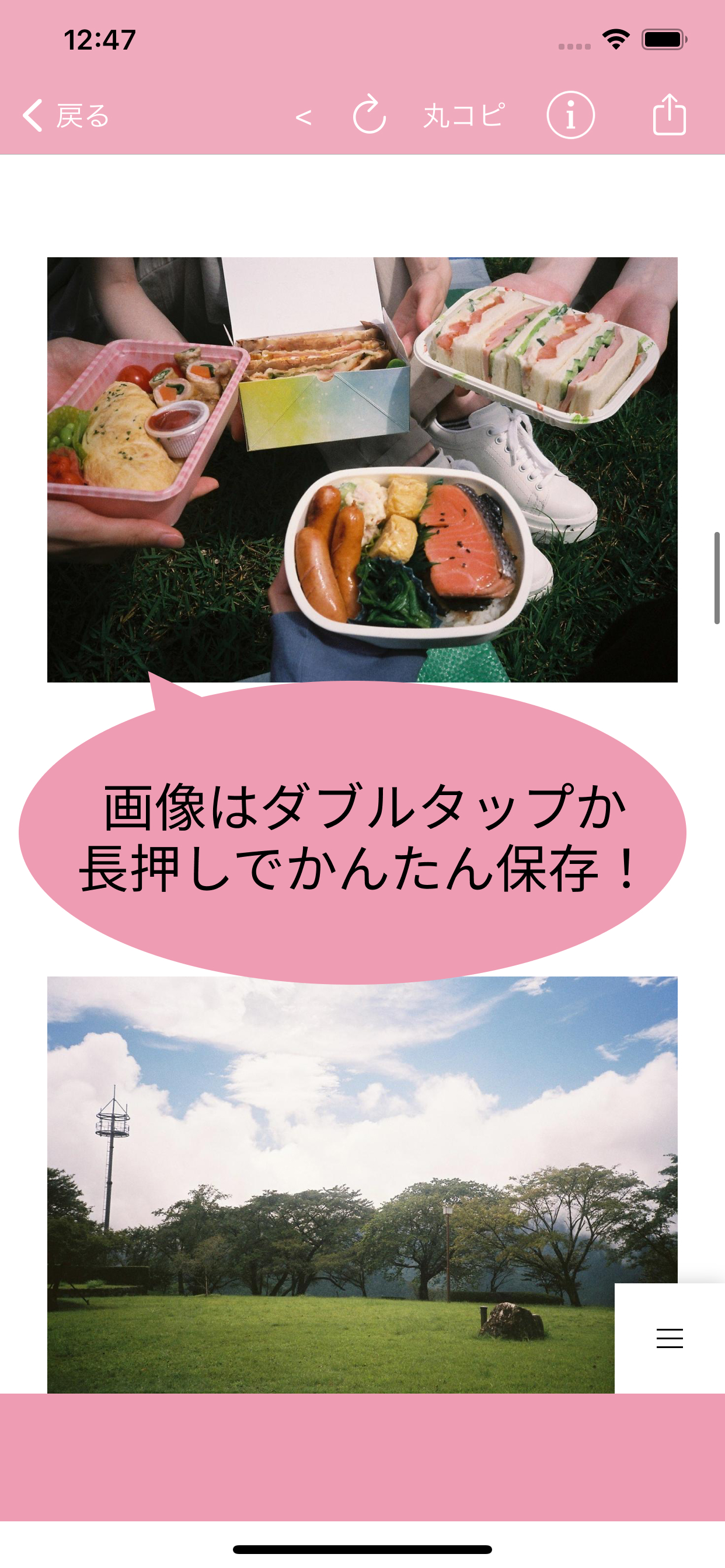 櫻ハウス for 櫻坂46