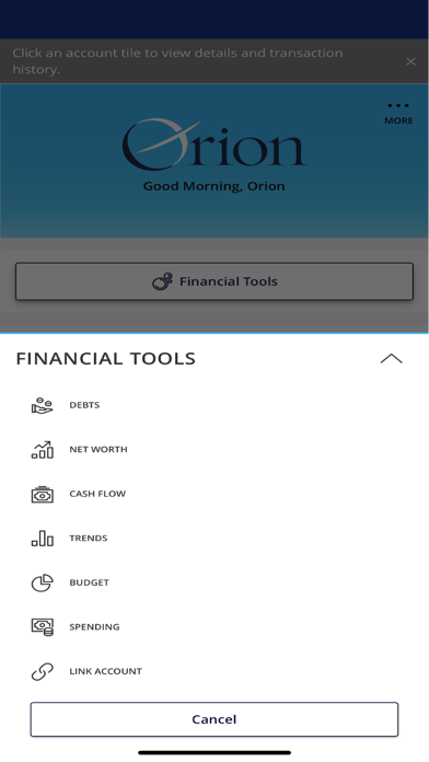 Orion FCU Mobile Screenshot