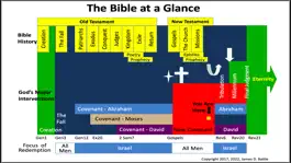 Game screenshot BibleAtAGlance apk