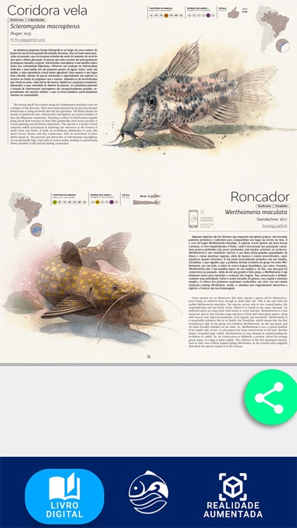 Peixes do Brasil screenshot-5