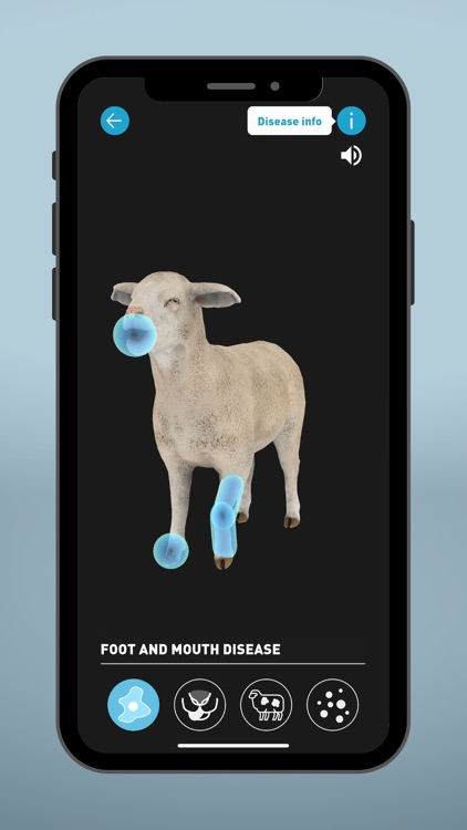Sheep EAD AR screenshot-6