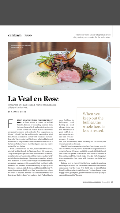 Honolulu Mag Screenshot