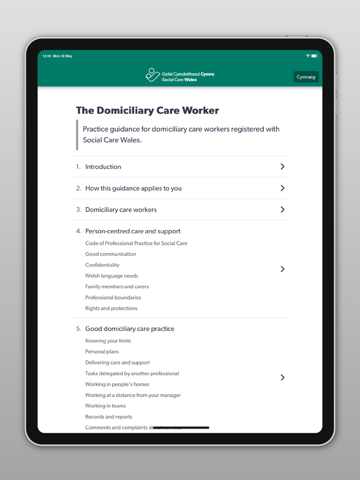The Domiciliary Care Worker