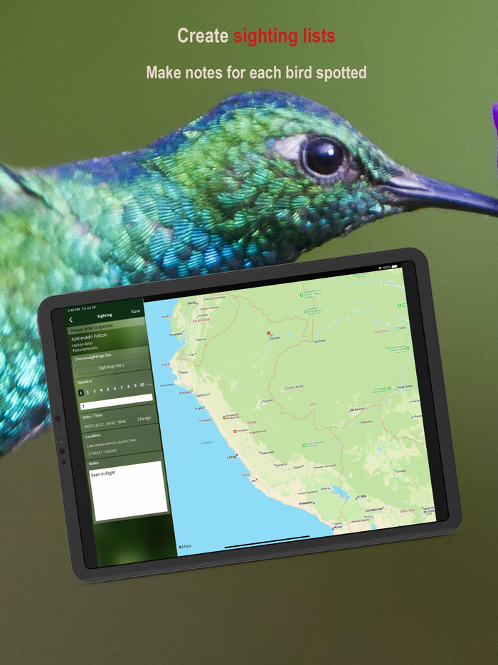 All Birds Northern Peru