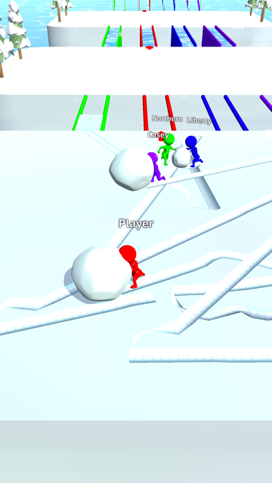 Snow Race!! screenshot1