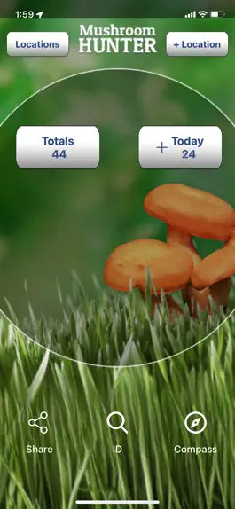 Game screenshot My Mushroom Log mod apk
