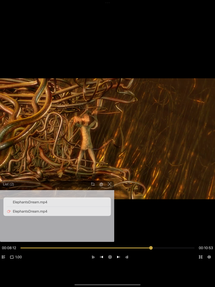 Micro Player All Format