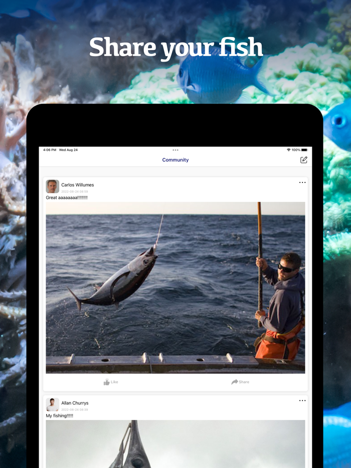 Fish Identification by Picture