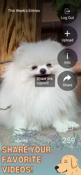 Game screenshot PrimeTime Dog Club apk