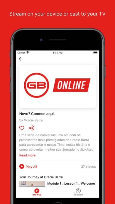 Gracie Barra Online Brasil Screenshot