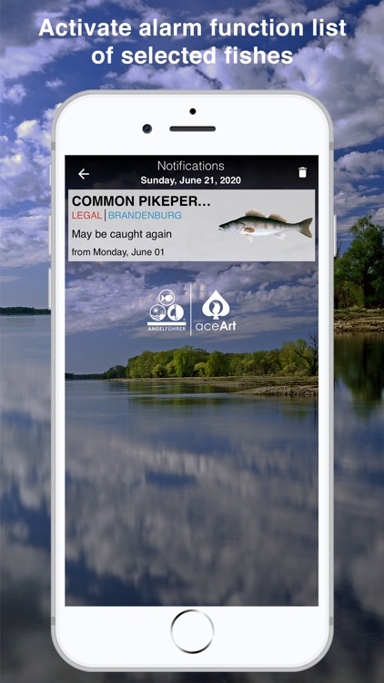 Fishguide Brandenburg screenshot-8