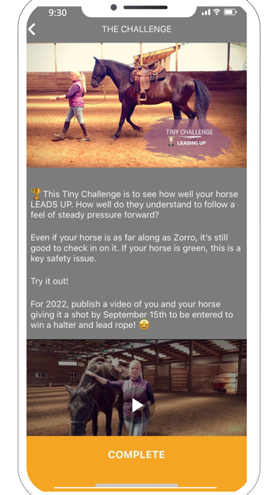 Horsemanship Insider Screenshot