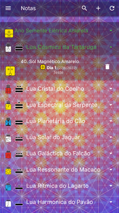 Sincronário 13:20 Screenshot