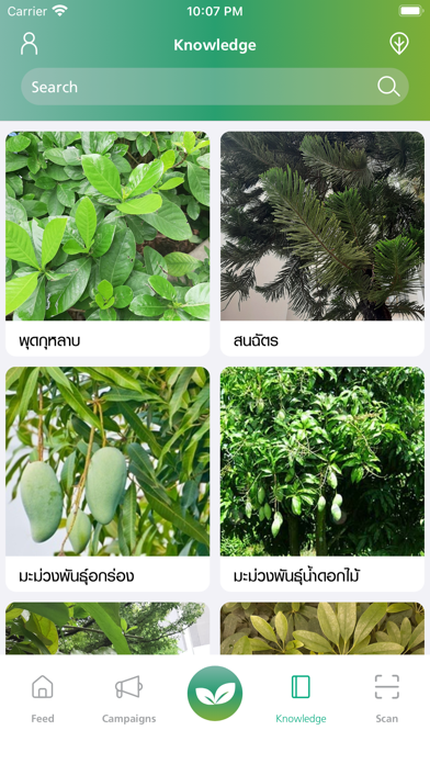 We Grow Screenshot