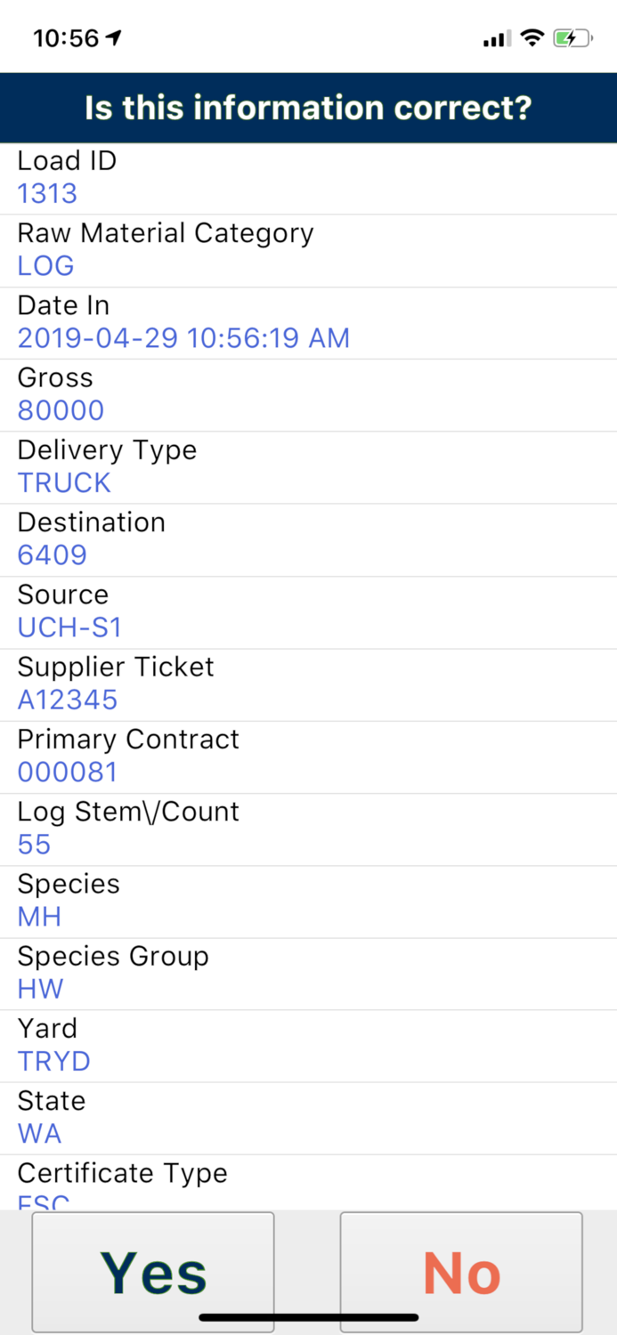 Connected Forest - Weighwiz