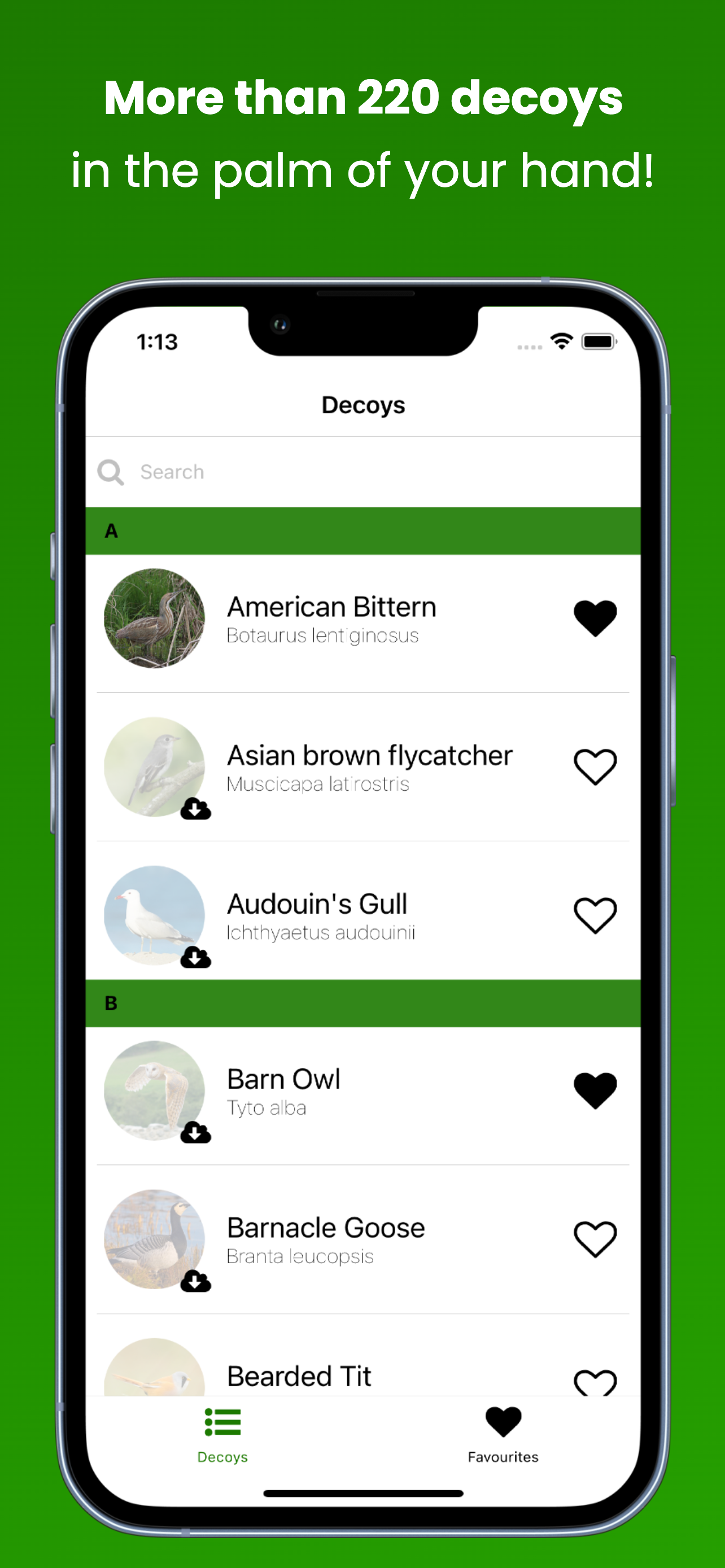 Hunting Decoys - Birdwatching