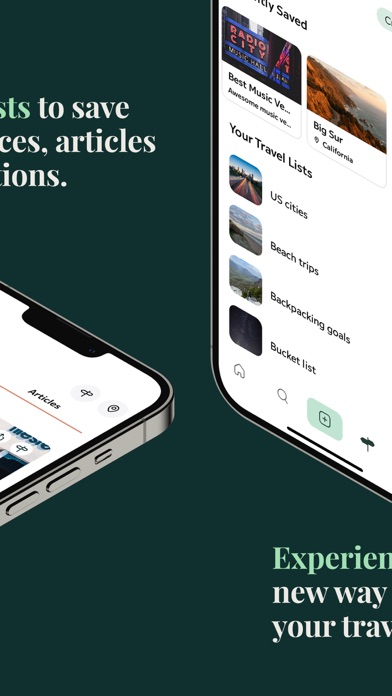 Vida Travel Screenshot