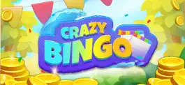 Game screenshot Crazy Bingo apk