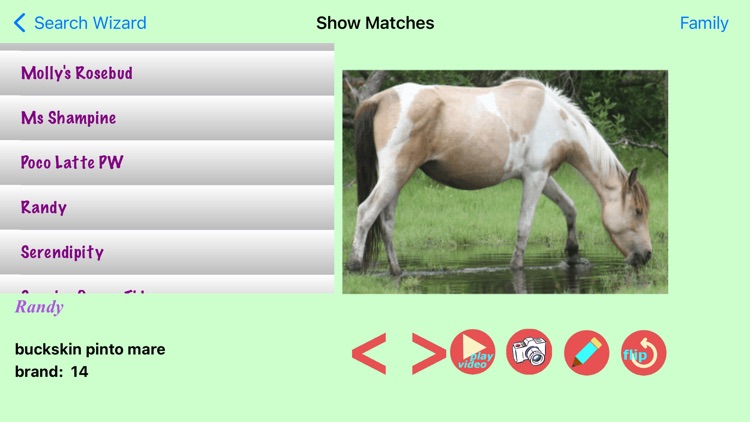 Chincoteague Pony Names screenshot-3