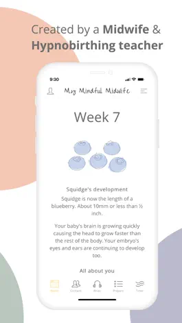 Game screenshot My Mindful Midwife hack