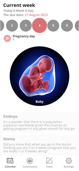 Game screenshot Pregnancy Tracker and Baby mod apk