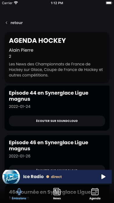 Ice Radio: France Screenshot