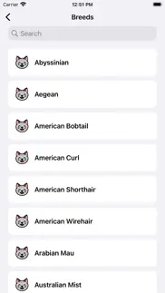 ai human to cat translator app iphone screenshot 3