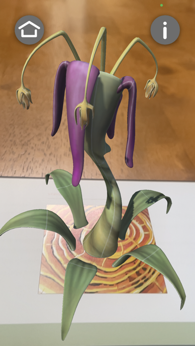 Ginny Ruffner's AR Screenshot