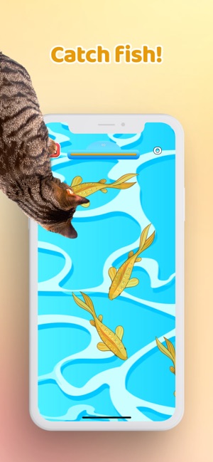 About: Catch the Mouse Cat Game for iPhone (iOS App Store version