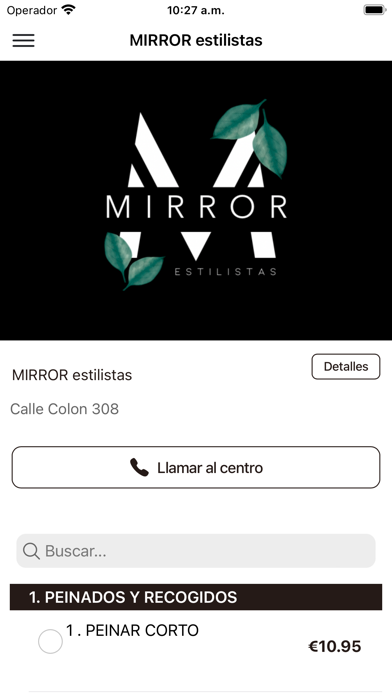 Mirror Estilistas Screenshot