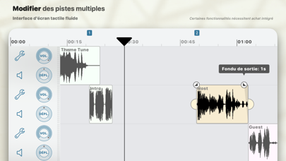 Screenshot #3 pour Ferrite