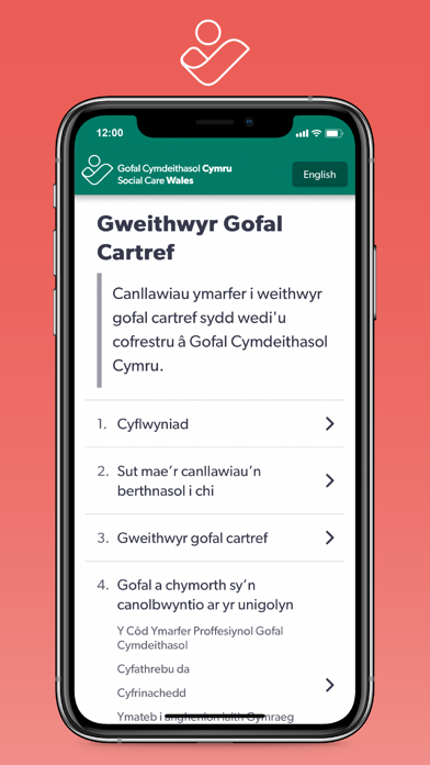 The Domiciliary Care Worker Screenshot