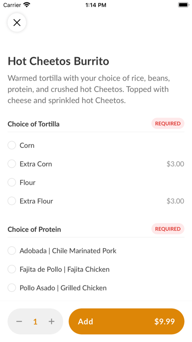 Puerto Vallarta Express Screenshot