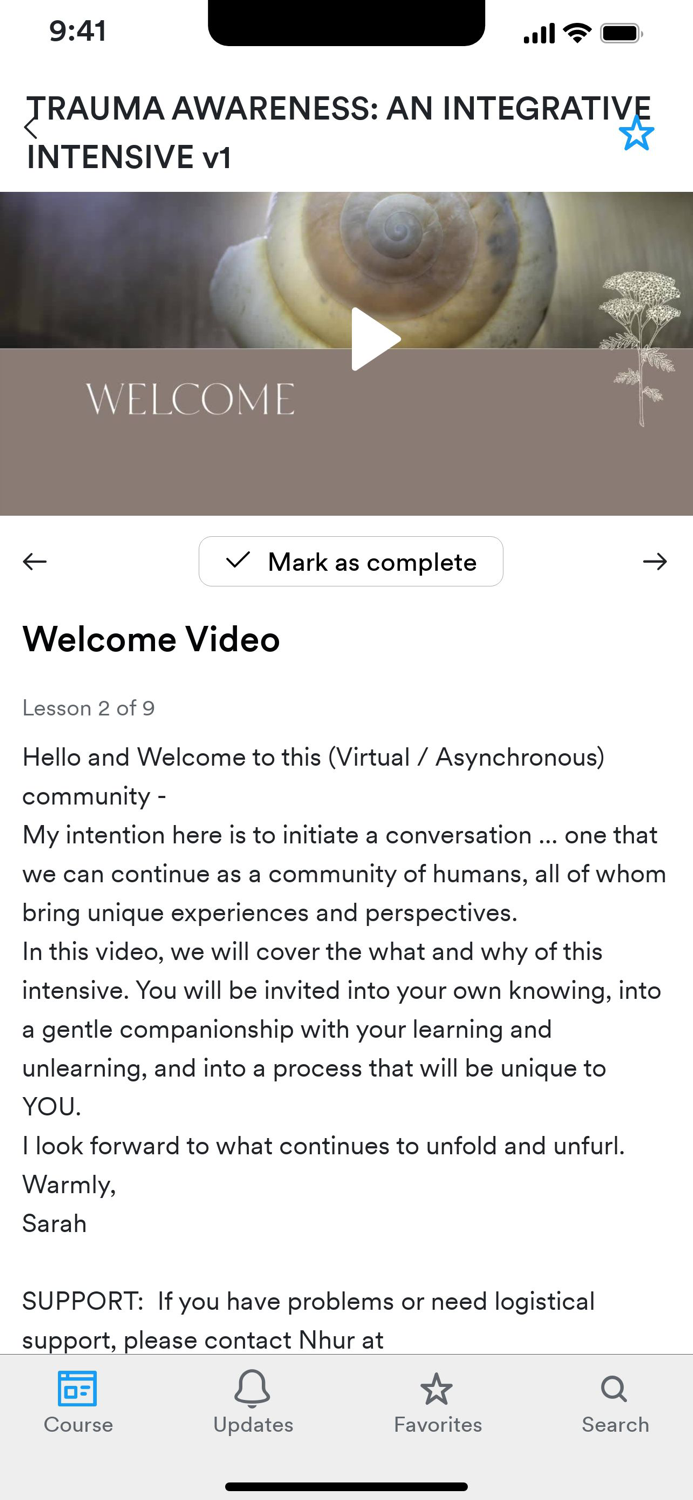 Integrative Trauma Institute