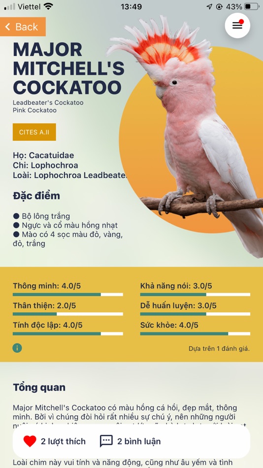 #3. Parrot Lands (iOS) 由: Anh Nguyen