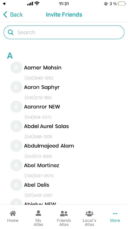 Local's Atlas screenshot-8