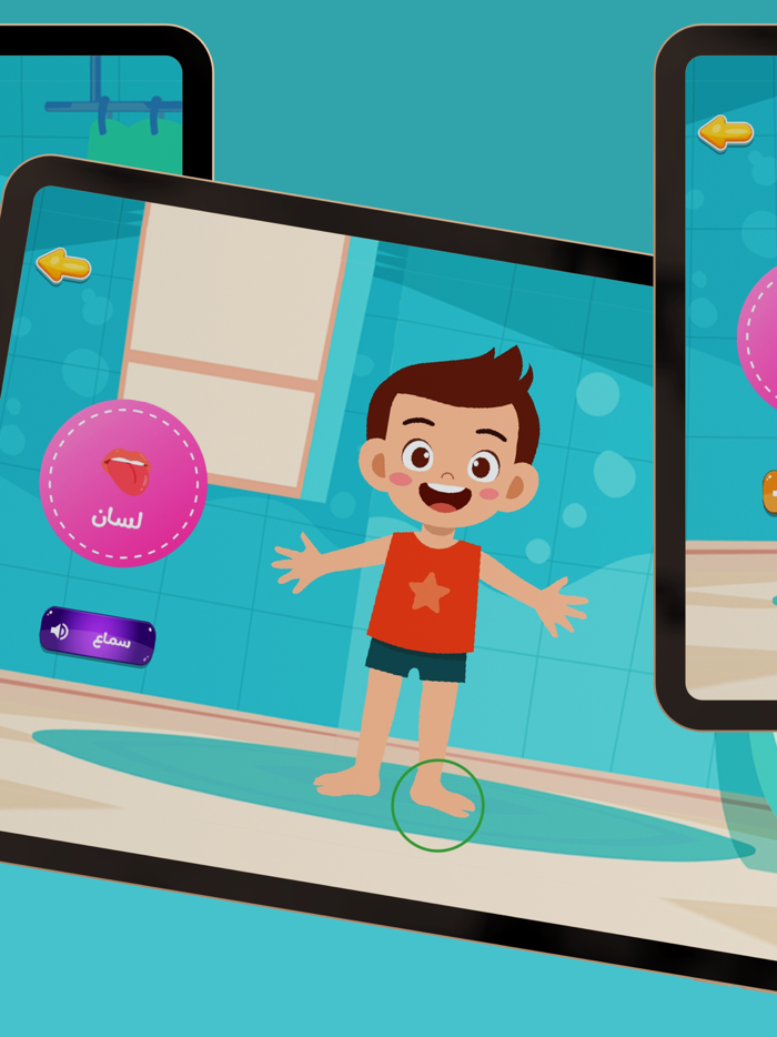 أجزاء جسم الانسان