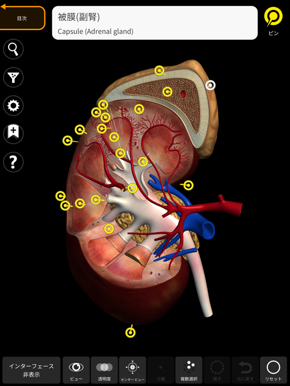 解剖学 - 3Dアトラスのおすすめ画像4