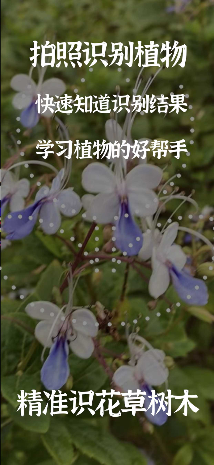 拍照识别植物-精准识花草虫鸟树木