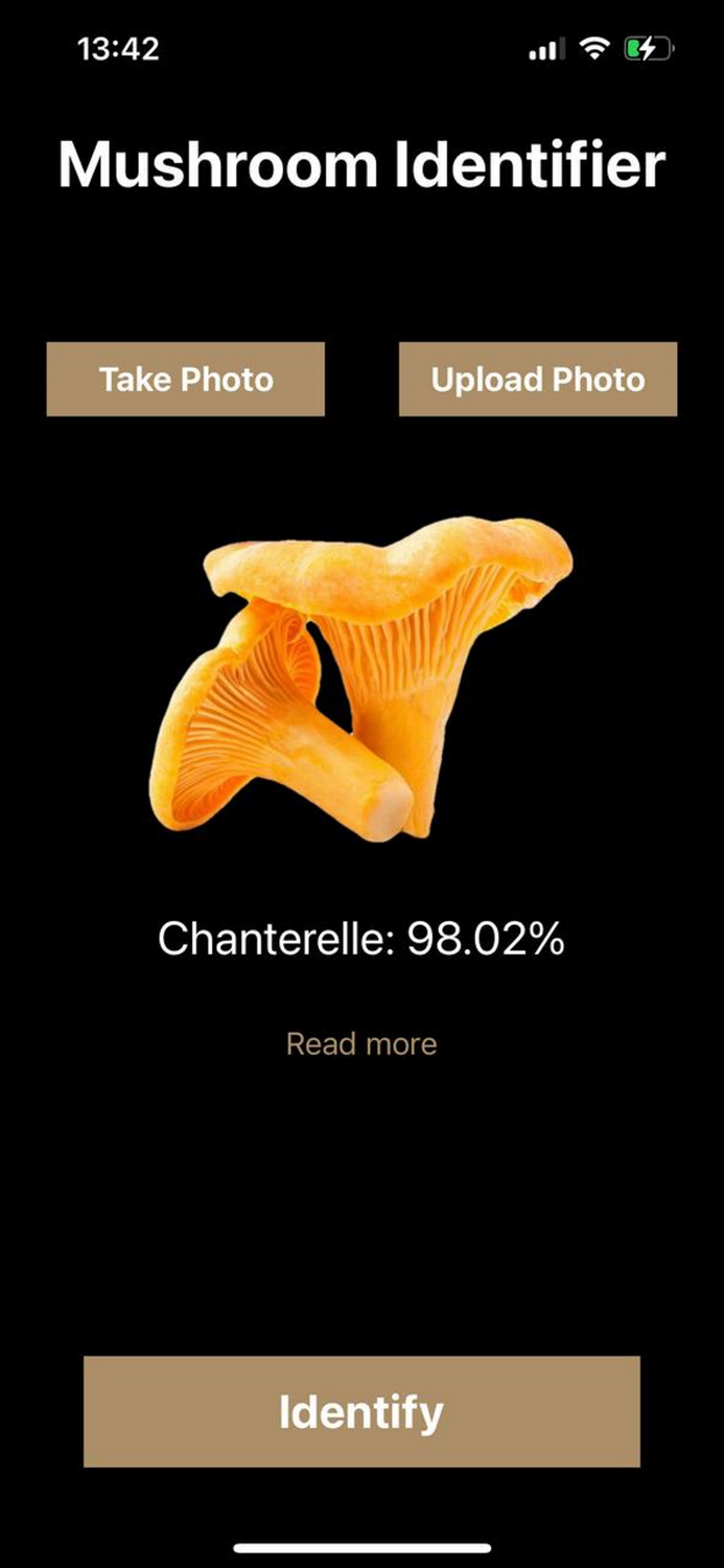 Mushroom Identifier Fungus ID