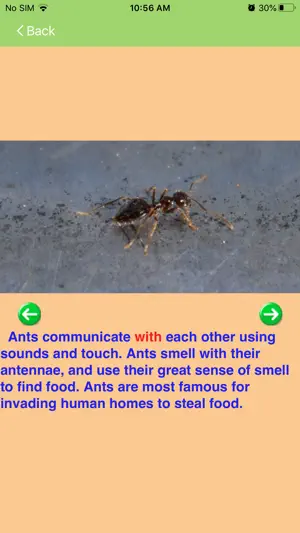 Letter of the Week Lite screenshot 4