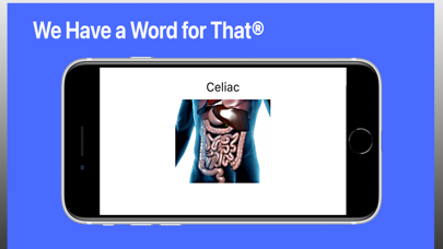 Essential Nursing Vocabulary Screenshot
