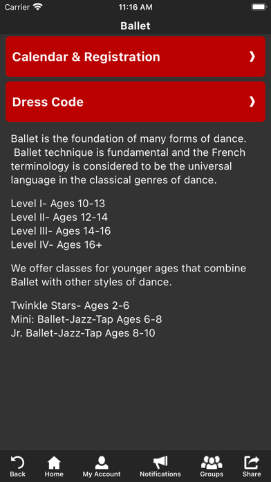 Bay Area Arts Conservatory Screenshot