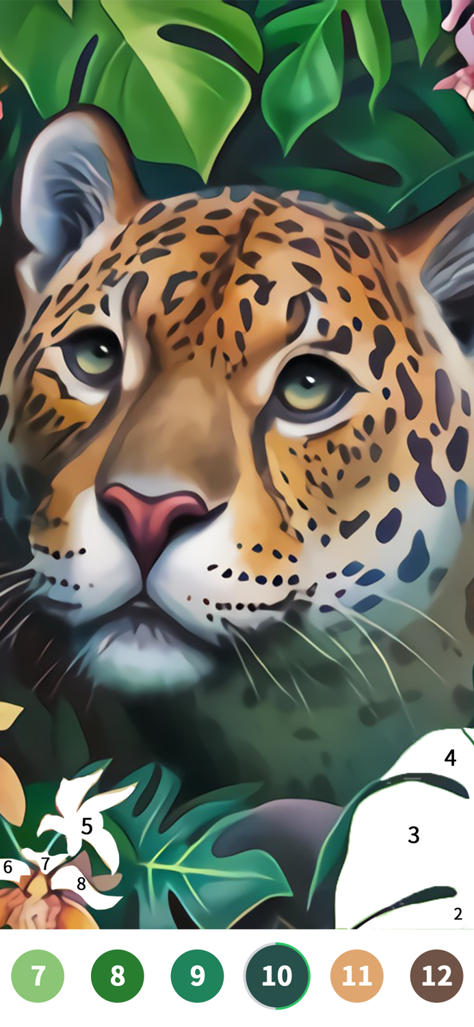 Color Painting-Color By Number