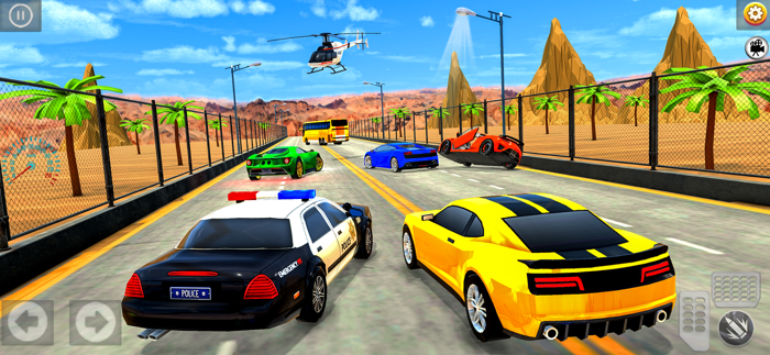 Police Chase Endless Highway