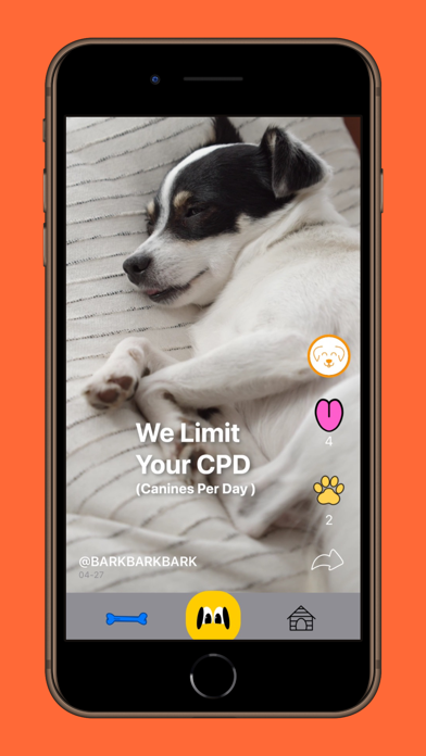 BarkBarkBark Screenshot